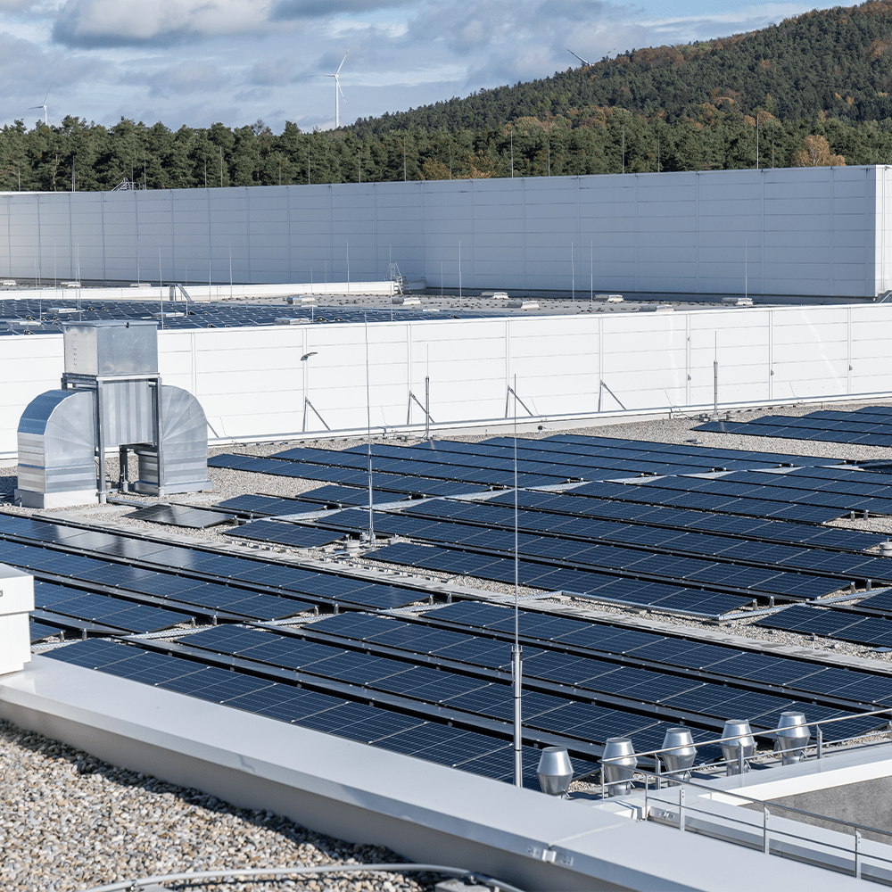 solar panels